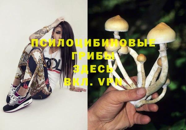 герыч Бронницы