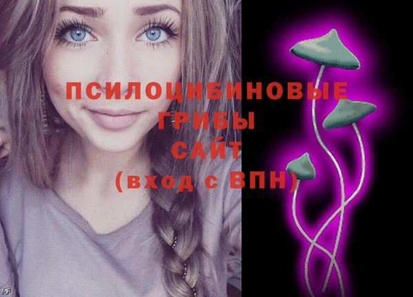 герыч Бугульма