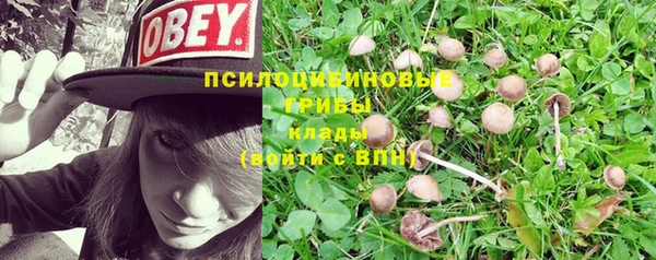 герыч Бугульма